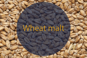 Солод Wheat malt (Viking malt), 1кг