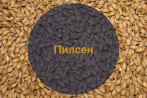 Солод Пилсен (Viking malt), 1 кг