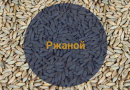 Солод Ржаной Ферментированный в зернах (Росток), 1 кг