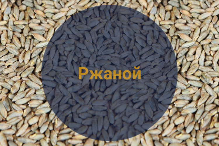 Солод Ржаной Ферментированный в зернах (Росток), 1 кг