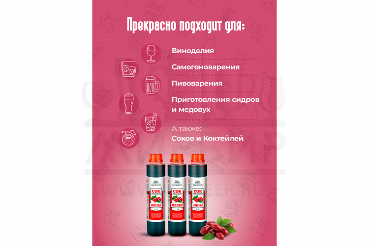 Концентрированный сок Домашняя Мануфактура "Кизиловый", 1 кг