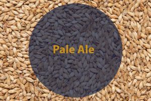 Солод Pale Ale (Viking malt), 1кг